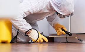 Best Commercial Pest Control  in Lincoln Park, NY